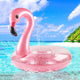 Bouée Flammand Rose